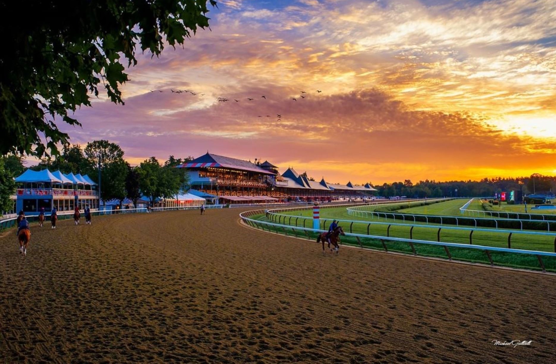 Horses Racing at Saratoga Race Course