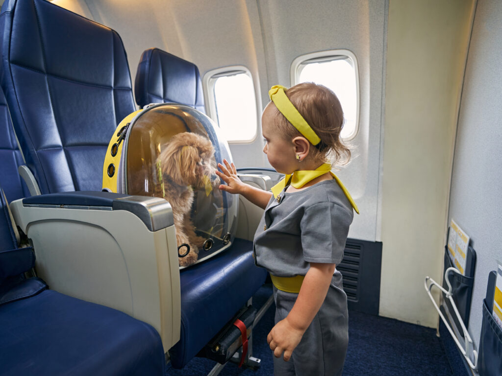 Girl looking at pet dog inside moving carrier