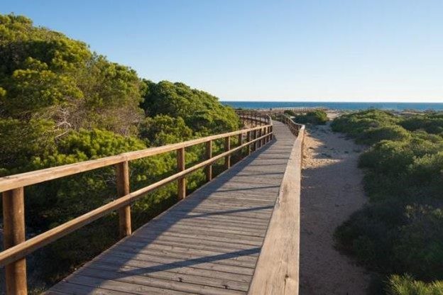 Walkway at a wildlife preserve in Hilton Head